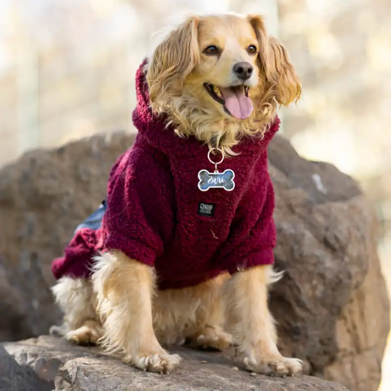 cosmeticosveganosmascotas-480082