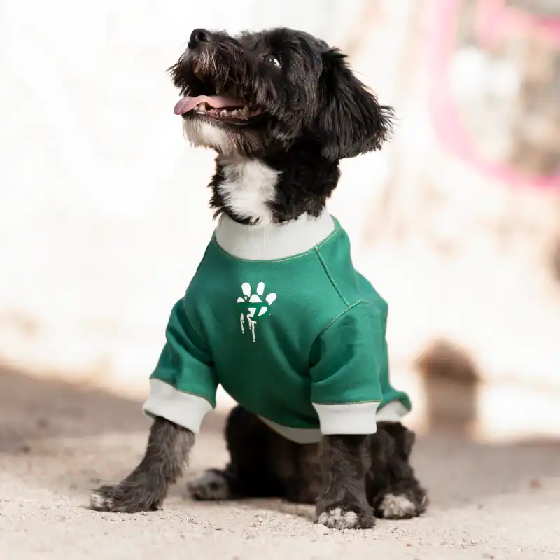 cosmeticosveganosmascotas-480095