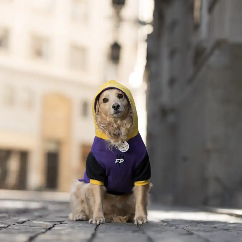 cosmeticosveganosmascotas-480121