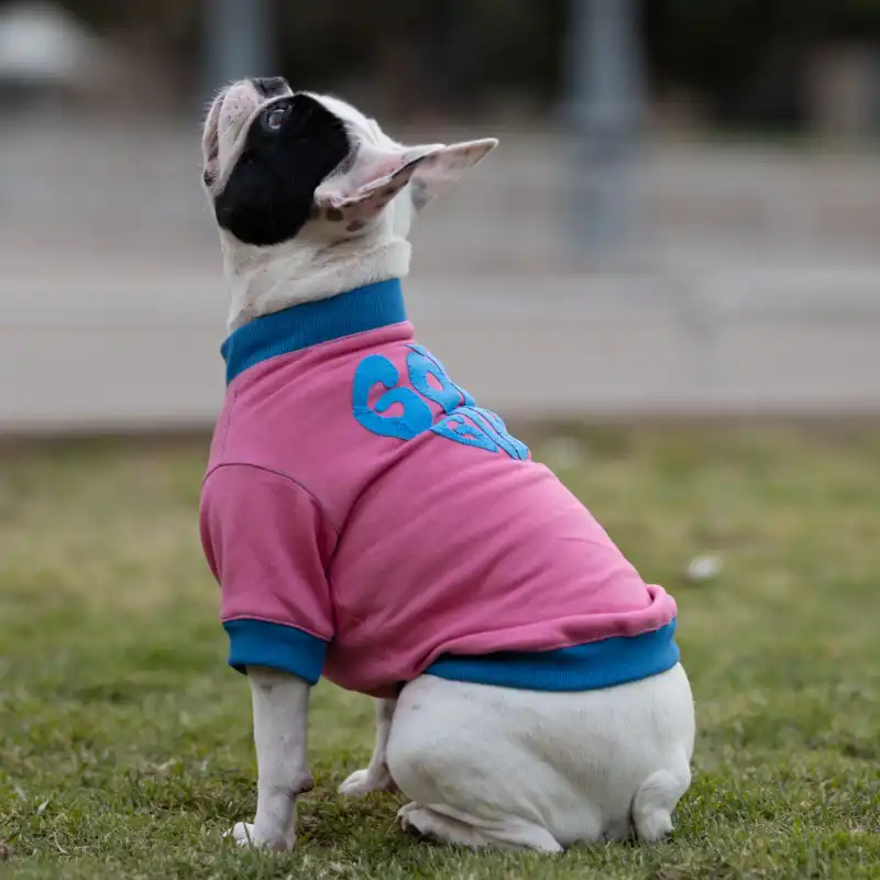 cosmeticosveganosmascotas-480139