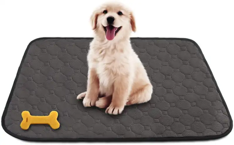 cosmeticosveganosmascotas-483006