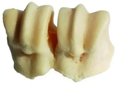 cosmeticosveganosmascotas-483655