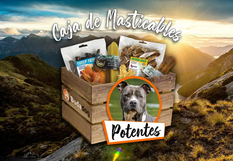 cosmeticosveganosmascotas-483791