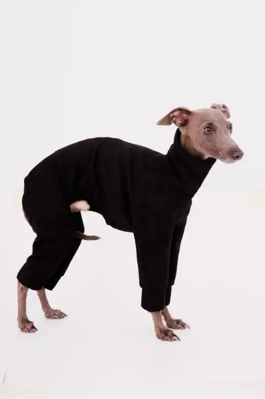 cosmeticosveganosmascotas-486631
