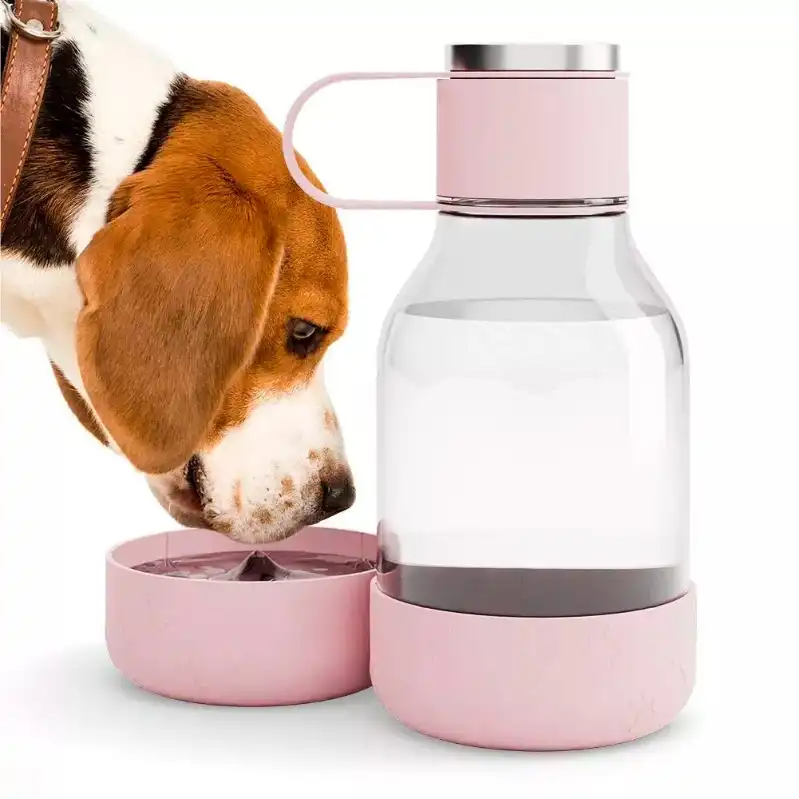cosmeticosveganosmascotas-486800