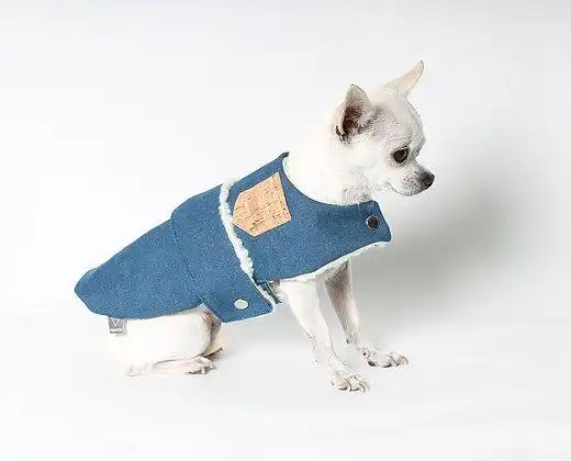 cosmeticosveganosmascotas-489167