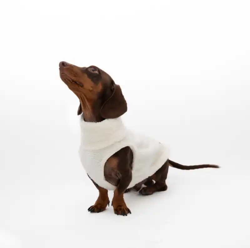 cosmeticosveganosmascotas-489295