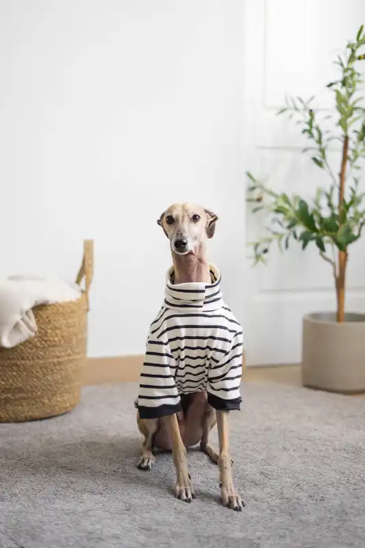 cosmeticosveganosmascotas-489310