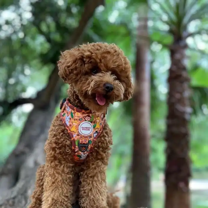 cosmeticosveganosmascotas-489587