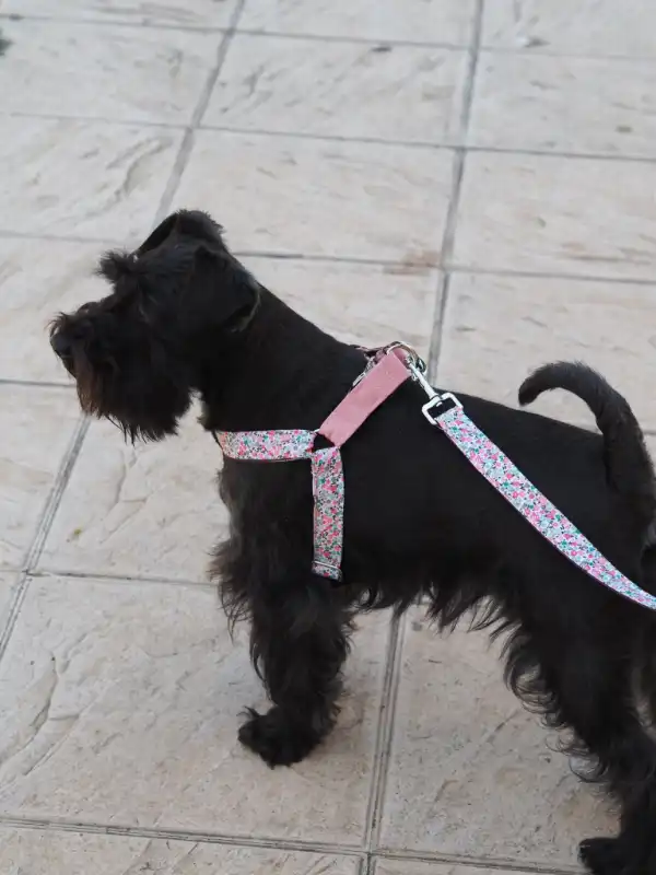 cosmeticosveganosmascotas-489695