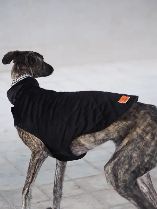cosmeticosveganosmascotas-489697