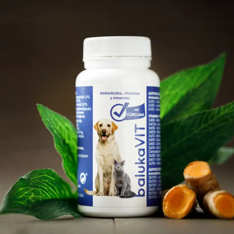 cosmeticosveganosmascotas-489783