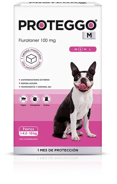 cosmeticosveganosmascotas-490091
