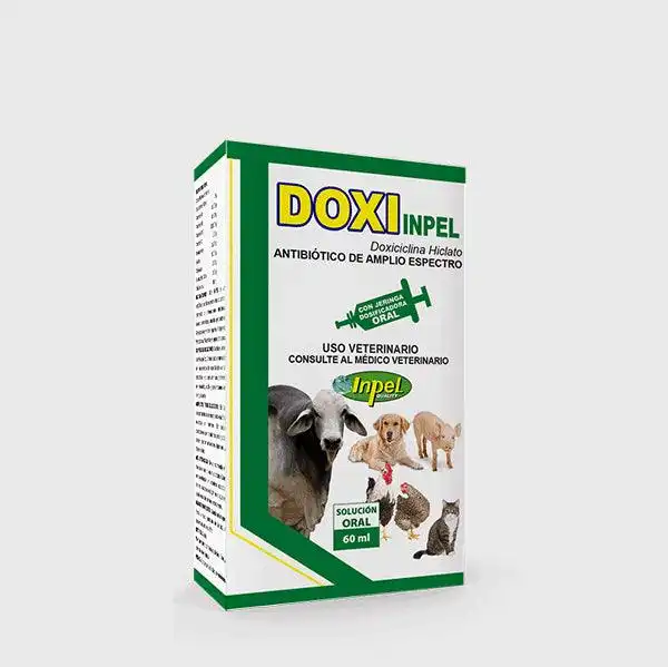 cosmeticosveganosmascotas-490215