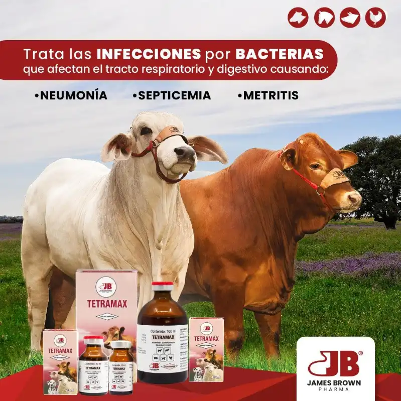 cosmeticosveganosmascotas-490385