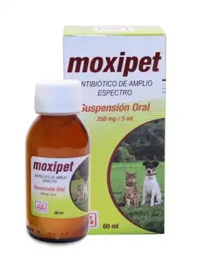 cosmeticosveganosmascotas-490525