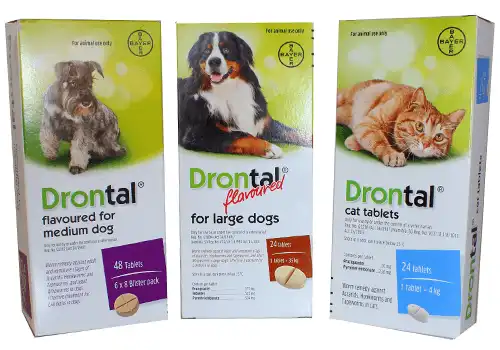 cosmeticosveganosmascotas-490705