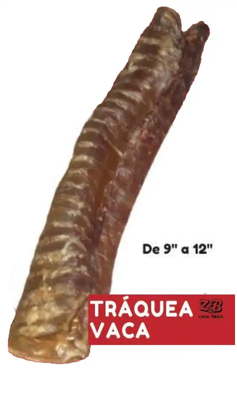 cosmeticosveganosmascotas-491295