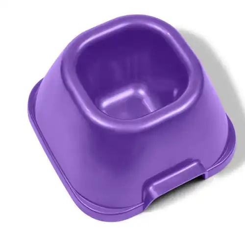 cosmeticosveganosmascotas-491513