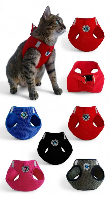 cosmeticosveganosmascotas-491836