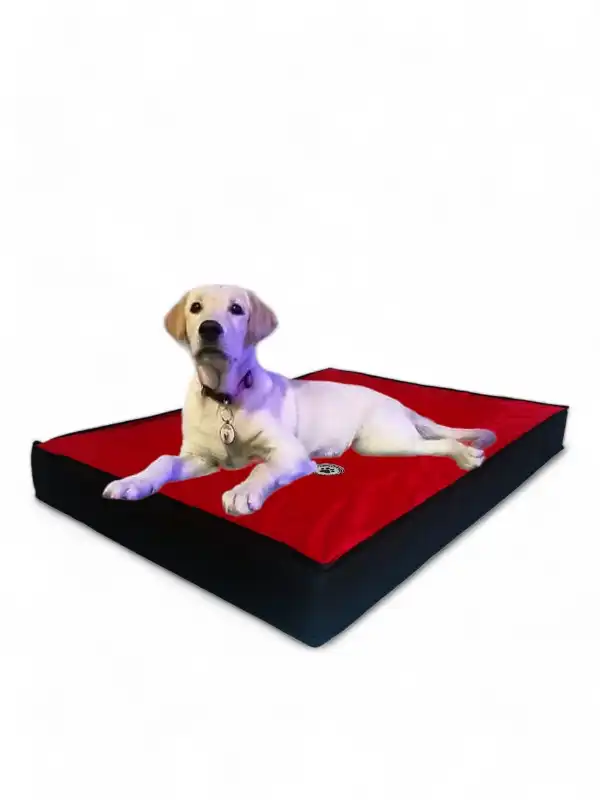 cosmeticosveganosmascotas-491846