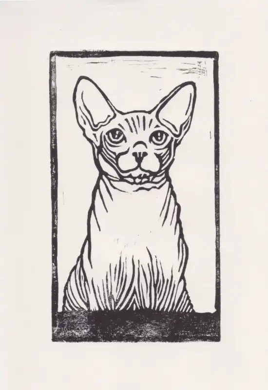 cosmeticosveganosmascotas-491946