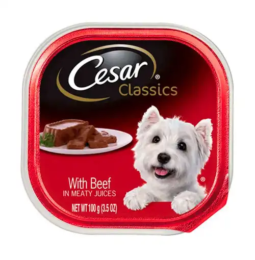 cosmeticosveganosmascotas-492079