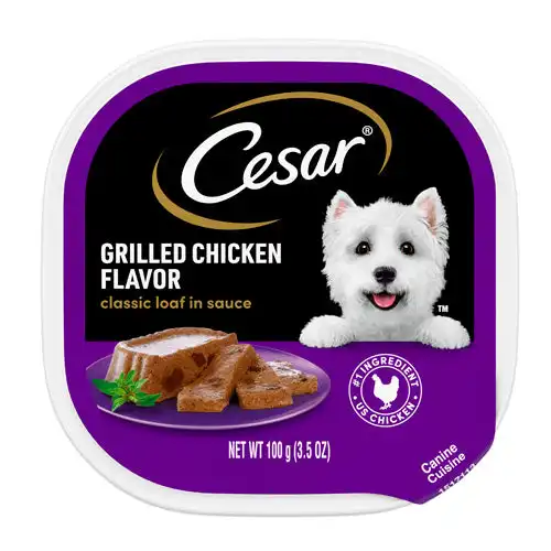 cosmeticosveganosmascotas-492104