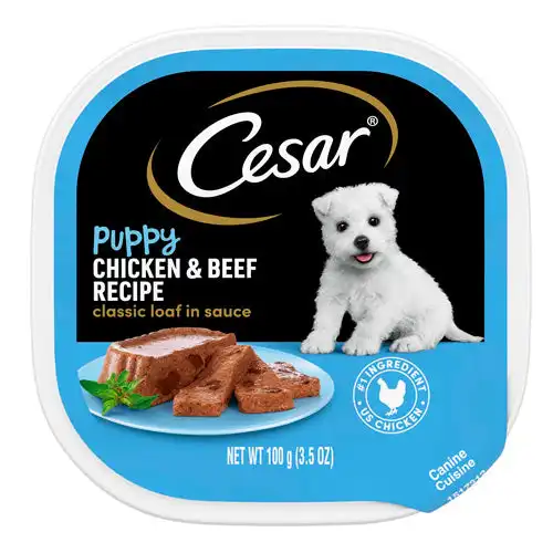 cosmeticosveganosmascotas-492113