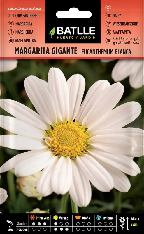 lanuevagranja-496774