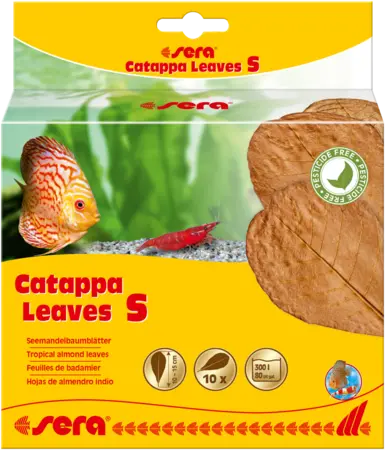 lanuevagranja-497991