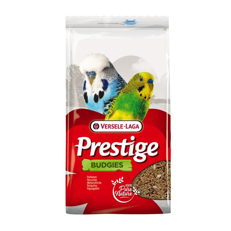 madagascarmascotas511363