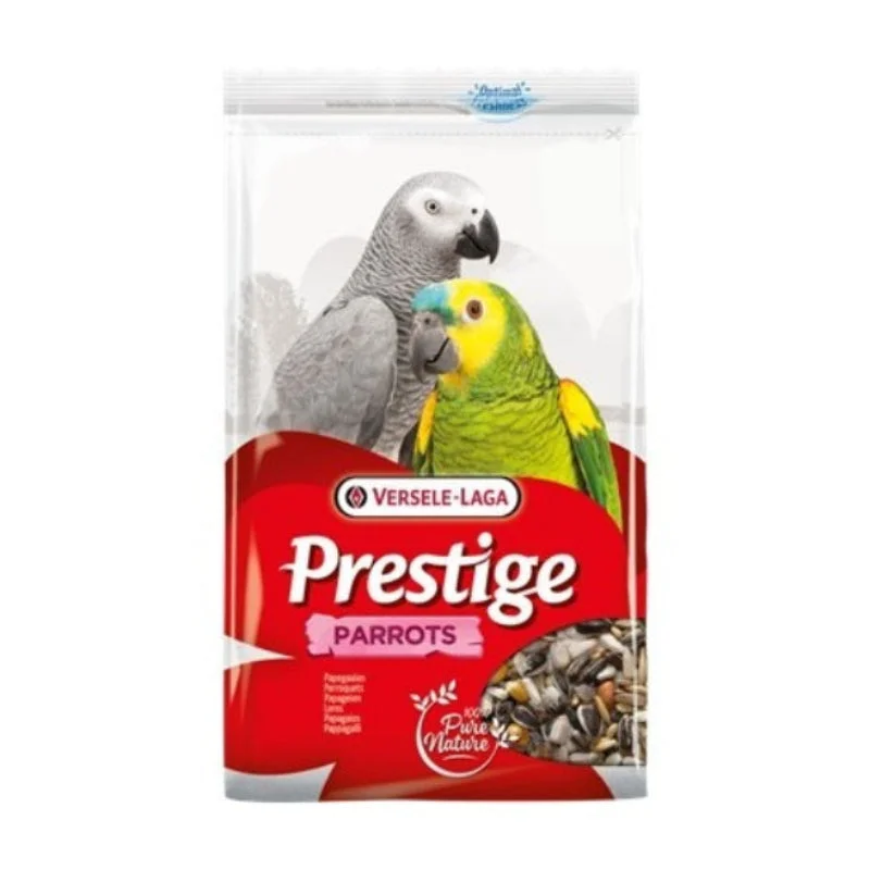 madagascarmascotas511393
