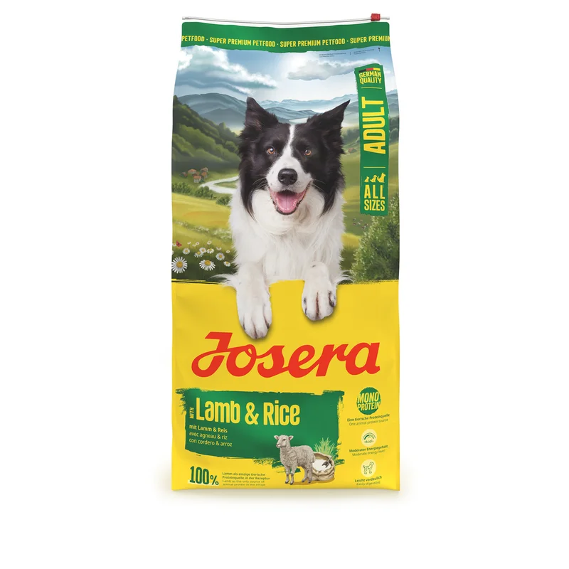 mascotasdama-493922