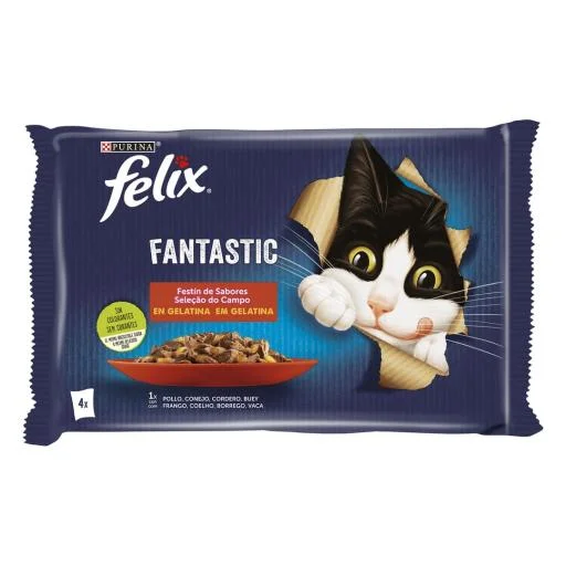 mascotasdama-495165