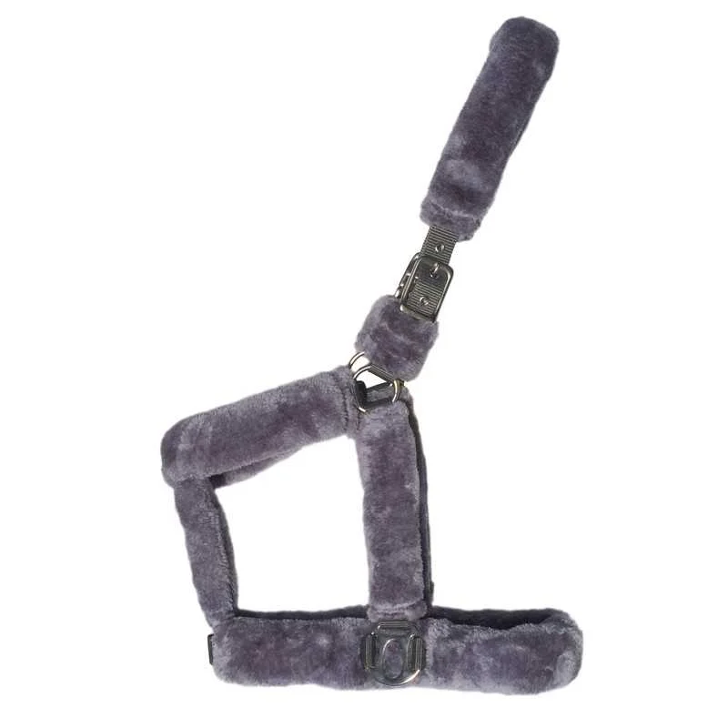 mascotasdama-499471