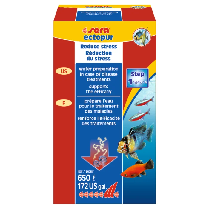 mascotasdama-501545