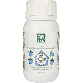 mascotasdama-502423