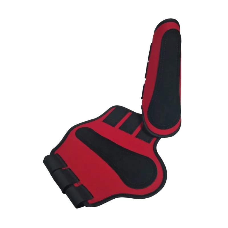 mascotasdama-502440