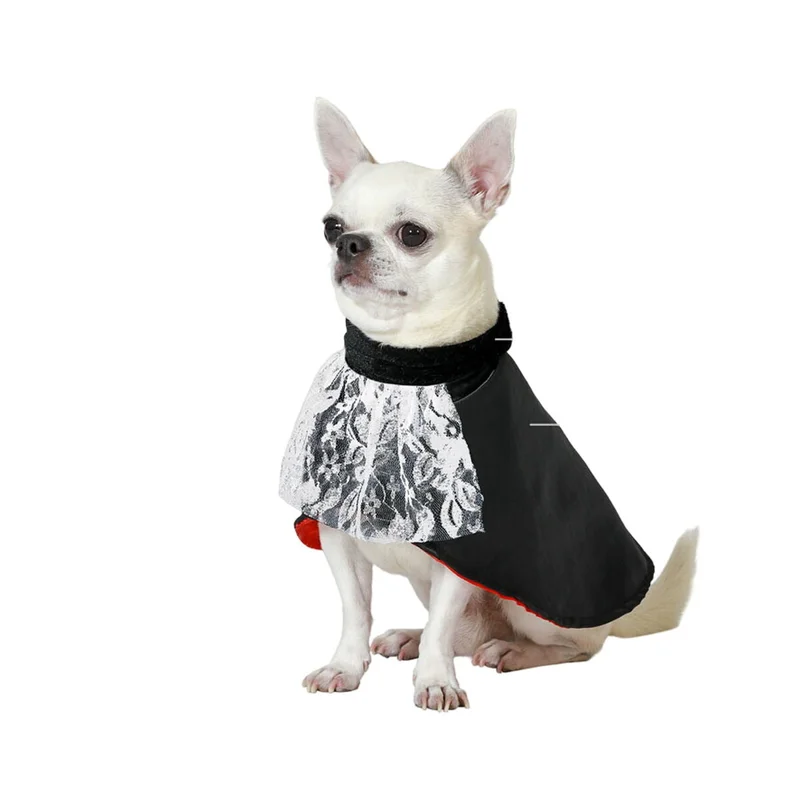 mascotasymax497008