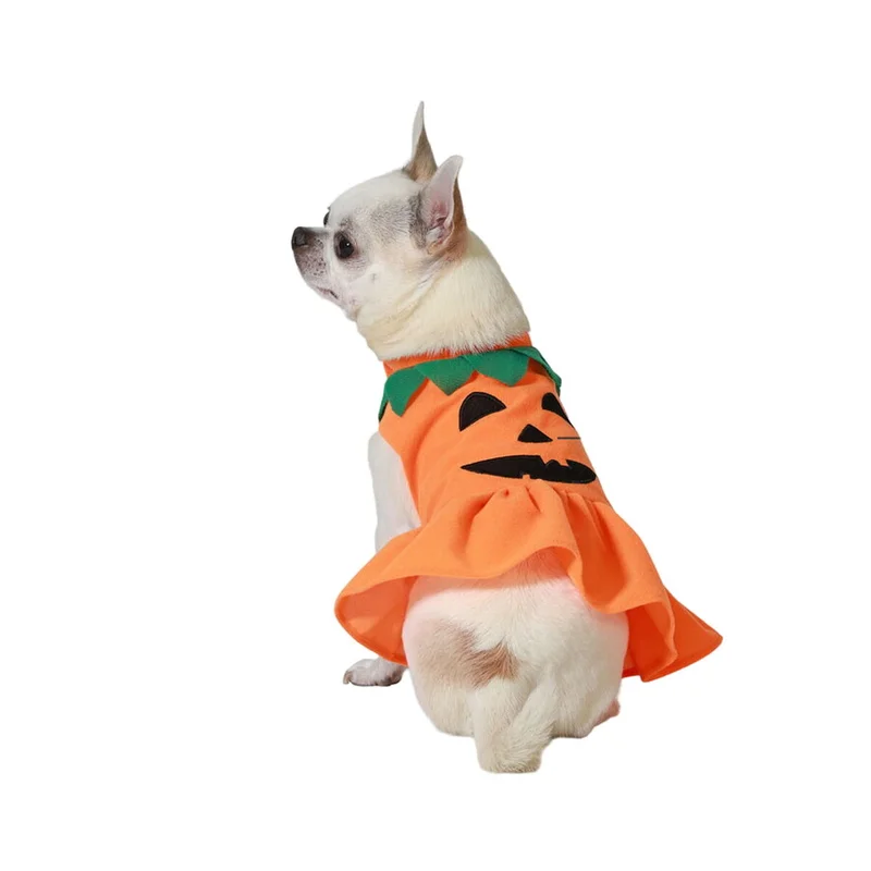 mascotasymax497164
