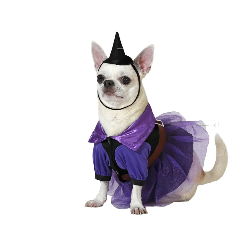 mascotasymax497478