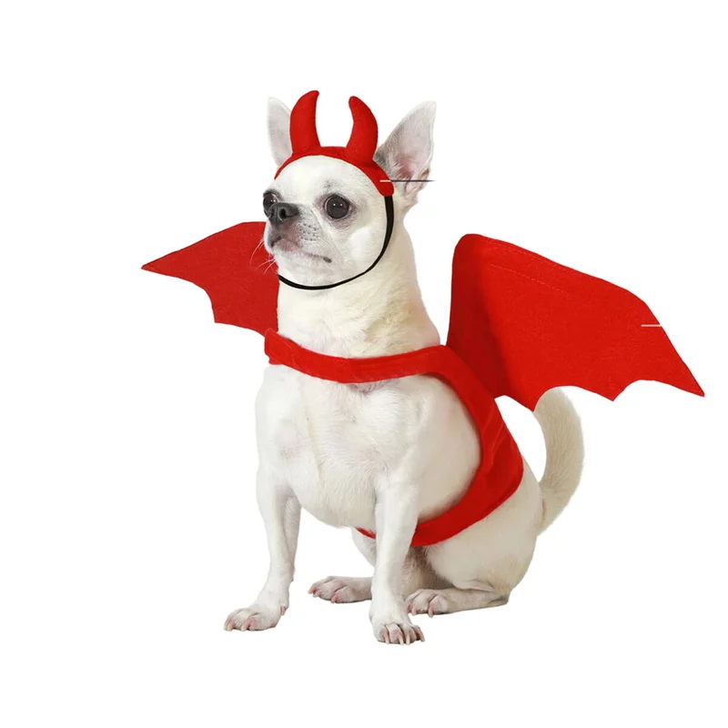 mascotasymax497542