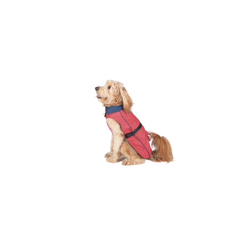 mascotasymax512689