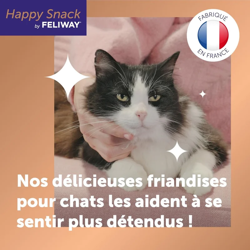 mascotasymax517829