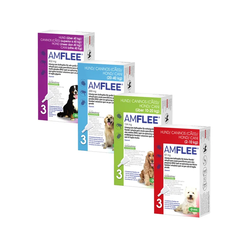 medpets-502494