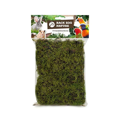 medpets-502838