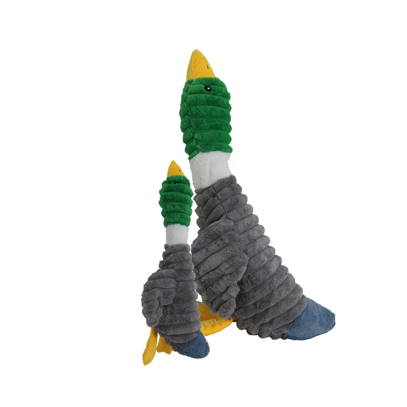 medpets-503301