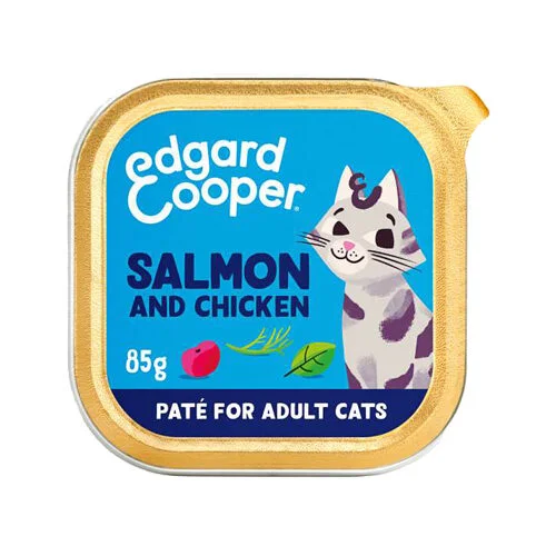 medpets-504078