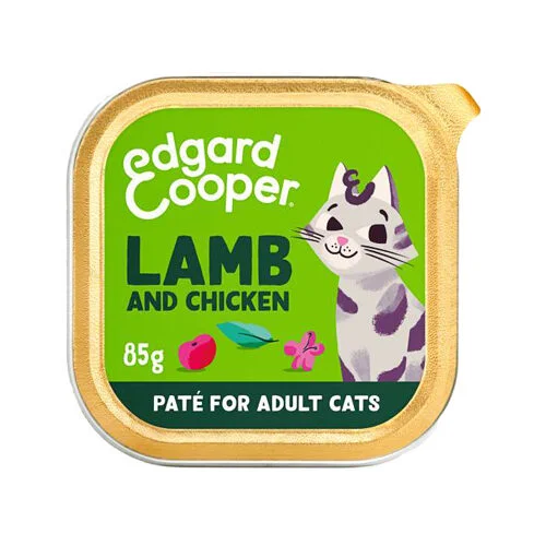 medpets-504080